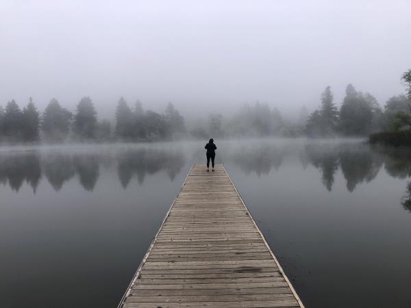 /Images/uploads/Sonoma County Regional Parks Foundation/springlake50/entries/28963thumb.jpg